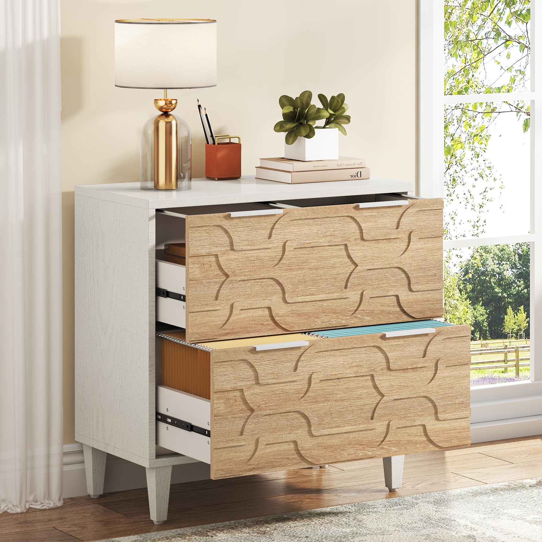 Tribesigns 2-Drawer File Cabin - Commercial Printer のレビューと価格